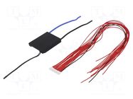 BMS protection; Li-Ion; 63x50x12mm; 20A; 48.1VDC DALY