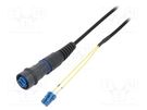 Fiber patch cord; PIN: 2; single mode duplex (SM); bayonet; LC BULGIN