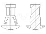 Assembly stud; polyamide 66; L: 5mm; snap fastener; natural DREMEC