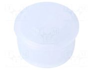 Plugs; Ø: 19.3mm; PE-LD; L: 9.5mm; BN 1095; TL-4-193 BOSSARD