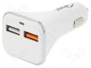 USB power supply; USB A socket x2; Sup.volt: 12÷24VDC; white AKYGA