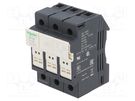 Switch-fuse; Poles: 3; 32A; IP20 SCHNEIDER ELECTRIC
