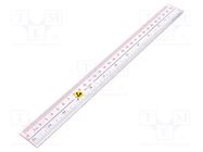 Ruler; ESD; 300mm; colourless STATICTEC