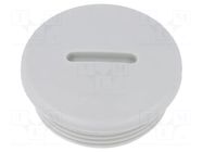 Stopper; M32; 1.5; IP54; polyamide; grey; V-N-FS; Thread: metric HUMMEL