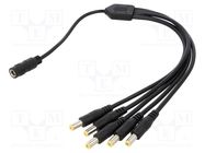 Cable; 2x0.5mm2; DC 5,5/2,1 plug x5,DC 5,5/2,1 socket; straight 