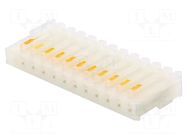 Connector: wire-board; plug; female; MAS-CON; PIN: 12; straight; IDC PANCON