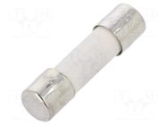 Fuse: fuse; 20A; 250VAC; time-lag; ceramic,cylindrical; 5x20mm CONQUER ELECTRONIC