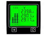 Meter: power; digital,mounting,programmable; on panel; 4 digit TRUMETER