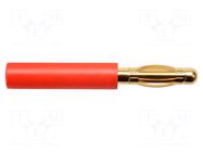 Adapter; red; 70VDC; 32A; 42.5mm; Insulation: polyamide; 33VAC SCHÜTZINGER