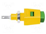 Laboratory clamp; yellow-green; 70VDC; 33VAC; 16A; nickel; 38.9mm SCHÜTZINGER