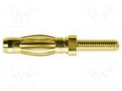 Plug; 4mm banana; 32A; 33VAC; 70VDC; 27.5mm; gold-plated; screw SCHÜTZINGER