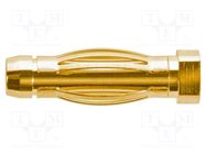 Connector: 4mm banana; plug; 32A; 33VAC; 70VDC; 17.7mm; gold-plated SCHÜTZINGER