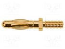 Plug; 4mm banana; 32A; 33VAC; 70VDC; 30mm; gold-plated; screw SCHÜTZINGER