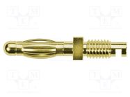 Connector: 4mm banana; plug; 32A; 33VAC; 70VDC; 31.5mm; gold-plated SCHÜTZINGER