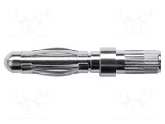 Connector: 4mm banana; plug; non-insulated; Max.wire diam: 4.2mm SCHÜTZINGER