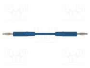 Test lead; 70VDC; 33VAC; 10A; banana plug 2mm,both sides; blue 