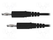 Test lead; 70VDC; 33VAC; 16A; banana plug 4mm,both sides; black SCHÜTZINGER