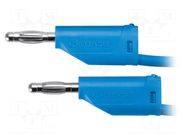 Test lead; 70VDC; 33VAC; 16A; banana plug 4mm,both sides; blue SCHÜTZINGER