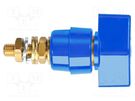 Laboratory clamp; blue; 1kVDC; 63A; on panel,screw; brass SCHÜTZINGER
