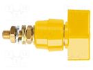 Laboratory clamp; yellow; 1kVDC; 63A; on panel,screw; brass SCHÜTZINGER