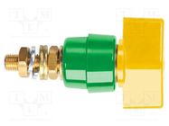 Laboratory clamp; yellow-green; 1kVDC; 63A; on panel,screw; brass SCHÜTZINGER