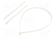 Cable tie; L: 1000mm; W: 12.5mm; natural; polyamide; 1112N FIX&FASTEN