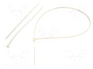 Cable tie; L: 1200mm; W: 12.5mm; natural; polyamide; 1112N FIX&FASTEN