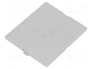 Front panel; grey; MODULBOX ITALTRONIC