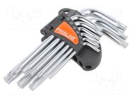 Wrench-set; Torx®; Chrom-vanadium steel; 9pcs. PROLINE