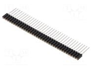 Connector: pin strips; socket; female; PIN: 36; BL 9; 3A; 150V; THT FISCHER ELEKTRONIK