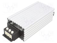 Heater; heatsink; 100W; 110÷250V; IP20; for DIN rail mounting 