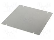 Mounting plate; steel; Series: 1444; natural HAMMOND