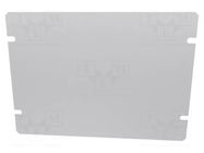 Mounting plate; steel; 1444; natural HAMMOND