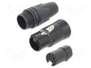 Connector: XLR; plug; female; PIN: 10(2+8); straight; for cable NEUTRIK