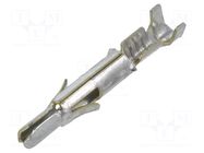 Contact; male; Universal MATE-N-LOK; brass; tinned; 0.2÷0.8mm2 TE Connectivity