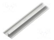 Profiles for LED modules; natural; L: 1m; WAY10; aluminium TOPMET
