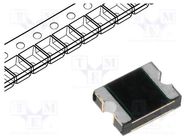 Fuse: PTC polymer; 100mA; 1210L LITTELFUSE