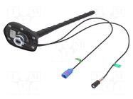 Antenna; car top; 0.2m; AM,FM,GPS; with amplifier; 0.45m 4CARMEDIA