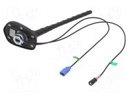 Antenna; car top,automotive; 0.2m; AM,FM,GPS; with amplifier 4CARMEDIA