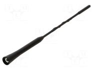 Antenna mast; 0.24m; M5,M6,M7; universal 4CARMEDIA