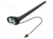 Antenna; car top; 0.2m; AM,FM; Audi,VW; with amplifier; 0.275m 4CARMEDIA