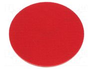 Backing pad; Ø: 125mm; Mounting: M14,rod 8mm; for abrasive discs PROLINE