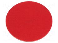 Backing pad; Ø: 125mm; Mounting: M14; for abrasive discs PROLINE