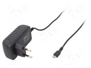 Power supply: switching; mains,plug-in; 5VDC; 2A; 10W; 81.27%; POSB POS