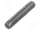 Cylindrical stud; steel; BN 1208; Ø: 2mm; L: 10mm BOSSARD