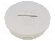Stopper; M32; 1.5; polyamide PMA