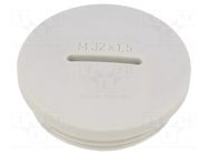 Stopper; M32; 1.5; polyamide PMA