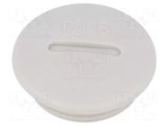 Stopper; PG16; polyamide PMA