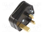 Connector: AC supply; plug; 2P+PE; 250VAC; 3A; black; PIN: 3; angled LIAN DUNG