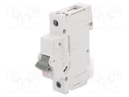 Circuit breaker; 230/400VAC; Inom: 32A; Poles: 1; Charact: B; 10kA ETI POLAM